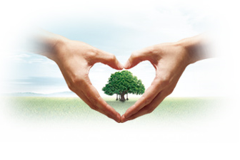 澳门十大网络平台