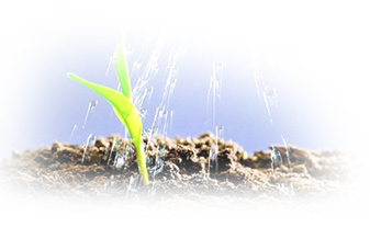 澳门十大网络平台