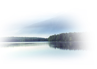 澳门十大网络平台