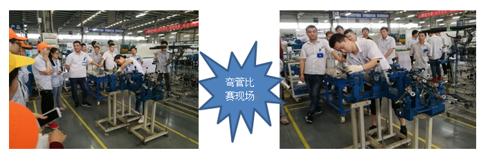 澳门十大网络平台