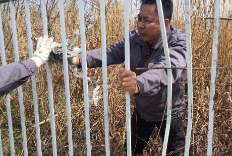 澳门十大网络平台