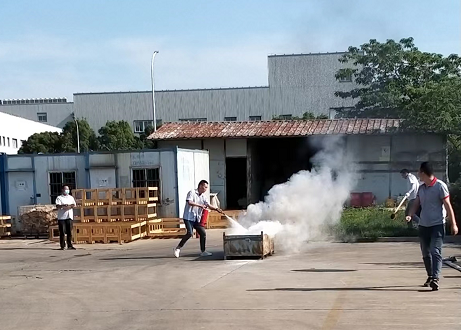 澳门十大网络平台